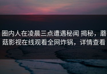 圈内人在凌晨三点遭遇秘闻 揭秘，蘑菇影视在线观看全网炸锅，详情查看
