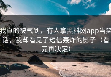 我真的被气到，有人拿黑料网app当笑话，我却看见了短信轰炸的影子（看完再决定）
