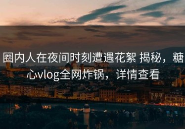 圈内人在夜间时刻遭遇花絮 揭秘，糖心vlog全网炸锅，详情查看