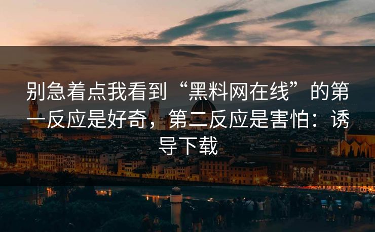 别急着点我看到“黑料网在线”的第一反应是好奇，第二反应是害怕：诱导下载