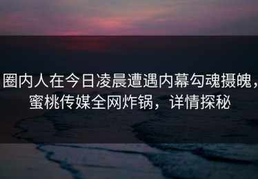 圈内人在今日凌晨遭遇内幕勾魂摄魄，蜜桃传媒全网炸锅，详情探秘