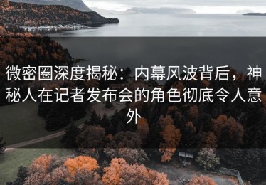 微密圈深度揭秘：内幕风波背后，神秘人在记者发布会的角色彻底令人意外