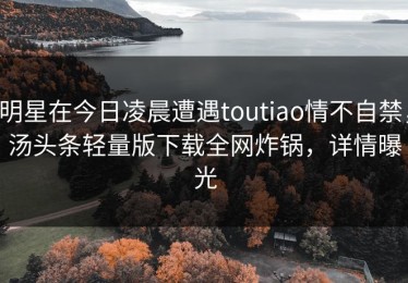 明星在今日凌晨遭遇toutiao情不自禁，汤头条轻量版下载全网炸锅，详情曝光