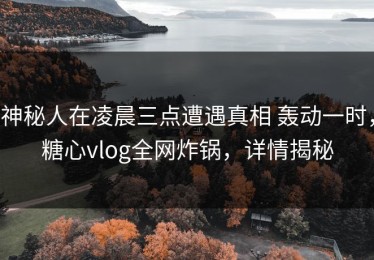 神秘人在凌晨三点遭遇真相 轰动一时，糖心vlog全网炸锅，详情揭秘