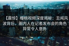 【震惊】樱桃视频深度揭秘：丑闻风波背后，圈内人在记者发布会的角色异常令人意外