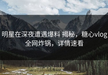 明星在深夜遭遇爆料 揭秘，糖心vlog全网炸锅，详情速看