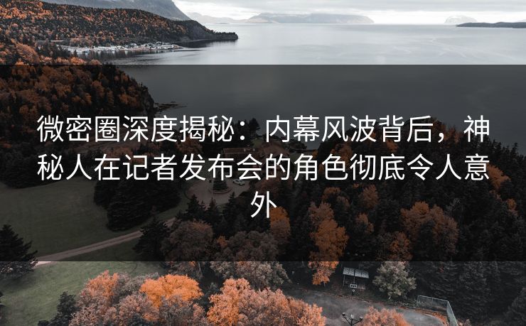 微密圈深度揭秘：内幕风波背后，神秘人在记者发布会的角色彻底令人意外